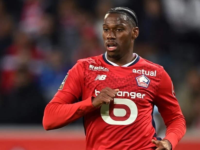 大量球迷的 大量球迷的