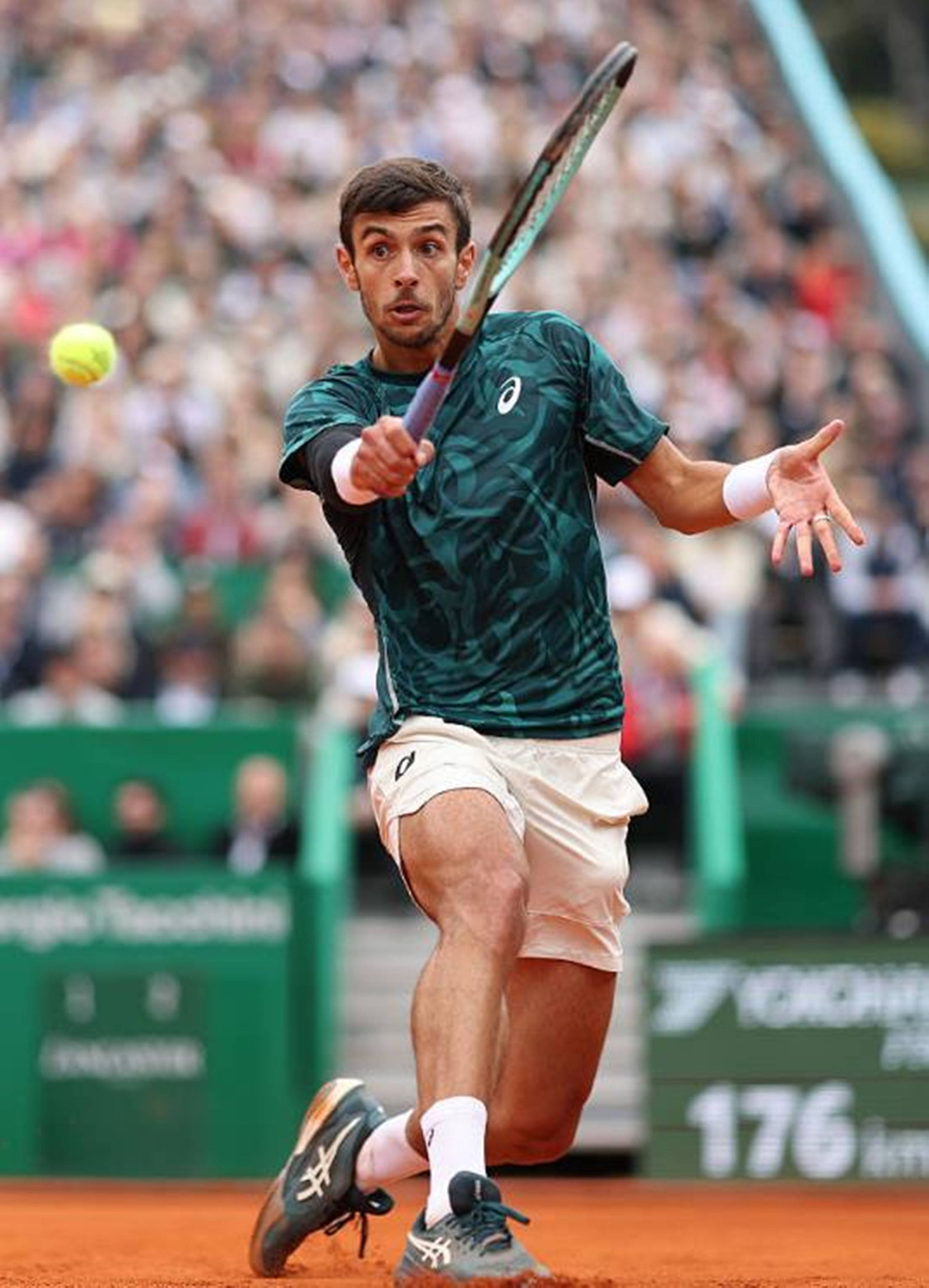 塞尔维亚尽 塞尔维亚尽